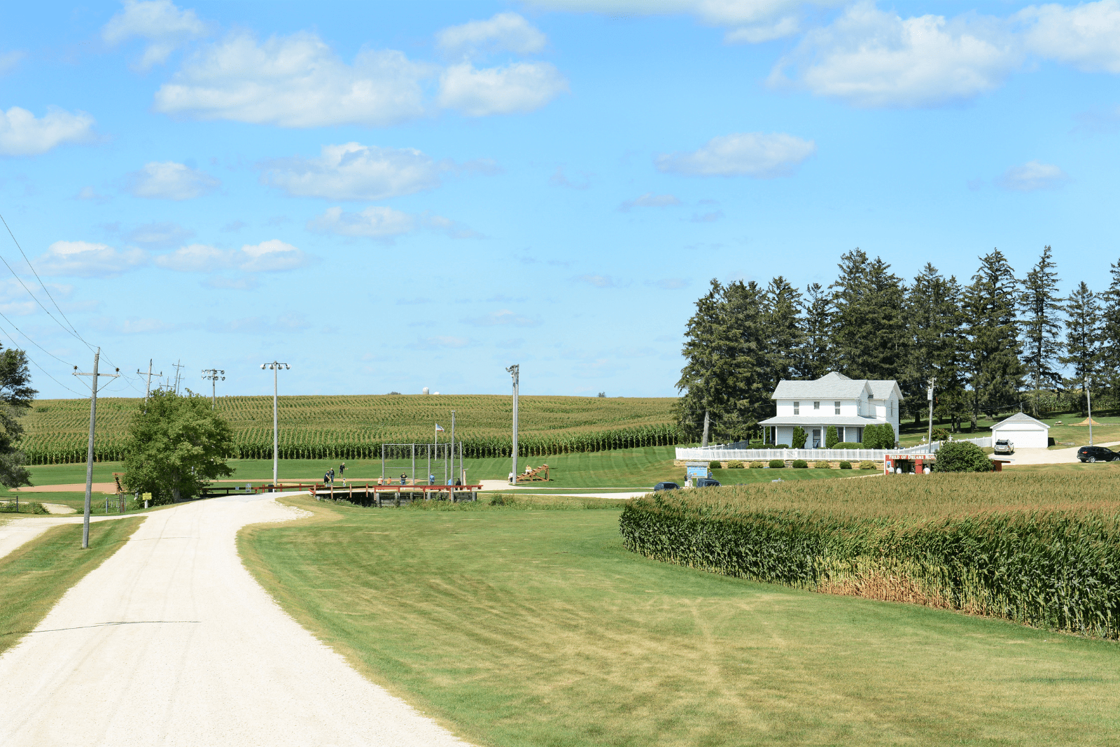 Field of Dreams – Consultation & Restoration